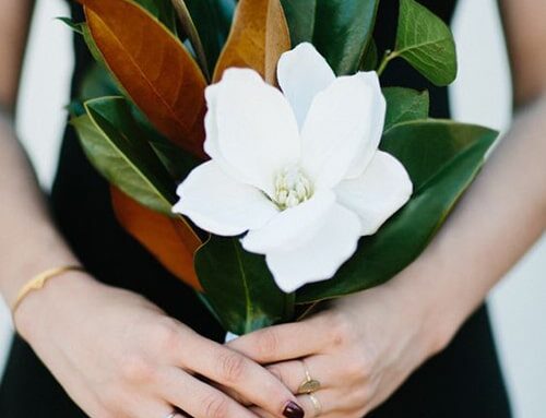 Wedding Trend We Love: Single-Bloom Bridesmaid Bouquets