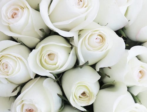 BRIDES New York City: Best Flower Delivery Services in NYC